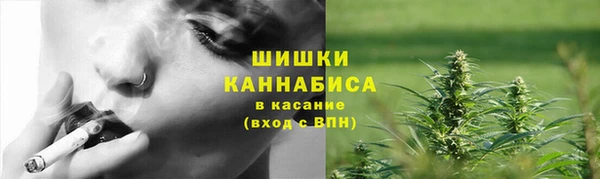 амф Вязьма