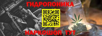 гашик Волжский