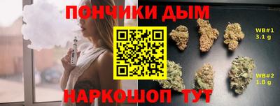 гидра Беслан