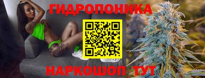 твердый Берёзовский