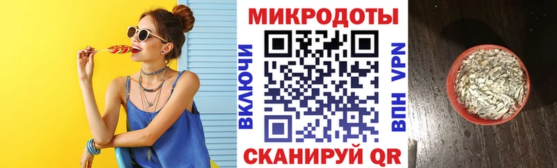 Псилоцибиновые грибы прущие грибы  закладка  Губкин 