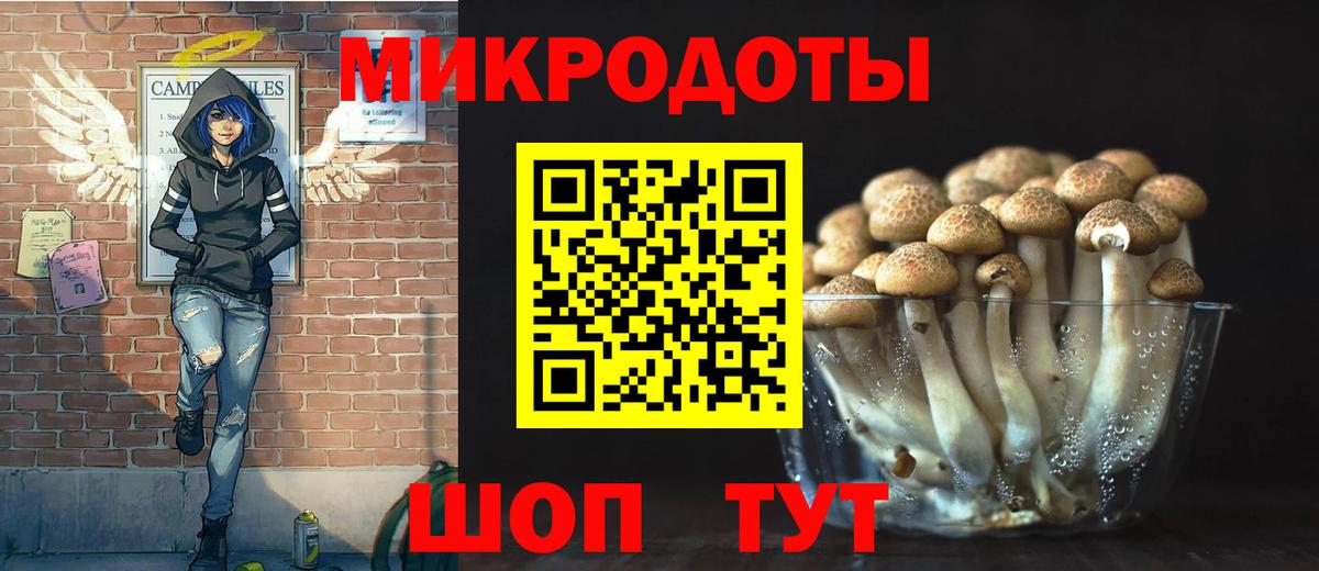 Псилоцибиновые грибы GOLDEN TEACHER Губкин