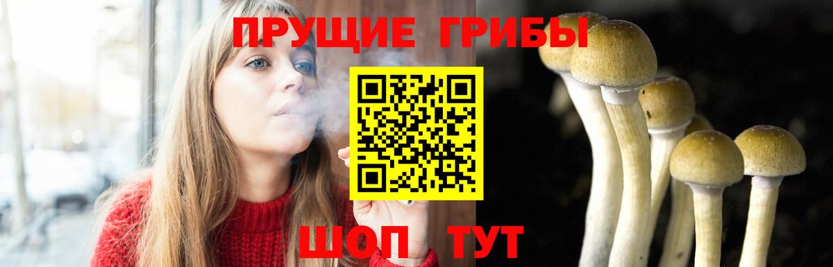 Псилоцибиновые грибы мухоморы  Губкин  Галлюциногенные грибы MAGIC MUSHROOMS 