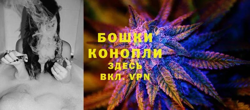 Бошки Шишки OG Kush  где найти наркотики  Губкин 